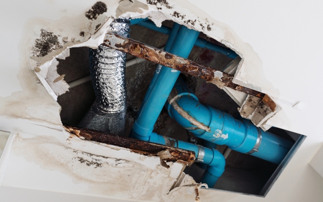 Emergency Plumbing Thumbnail